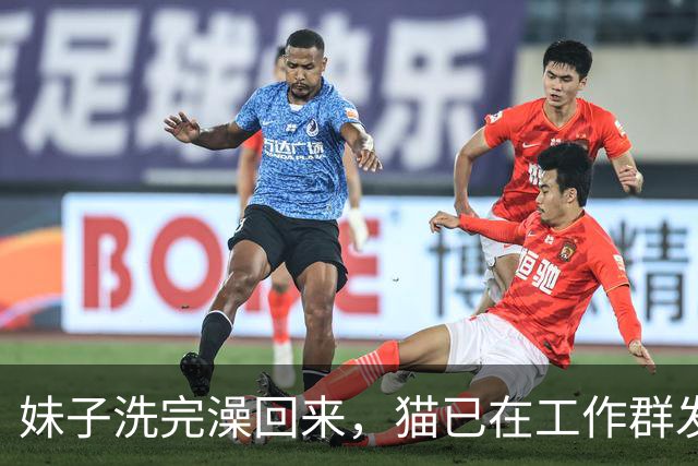 妹子洗完澡回来，猫已在工作群发了几百条信息，当场崩溃：光撤回就花了30分钟！